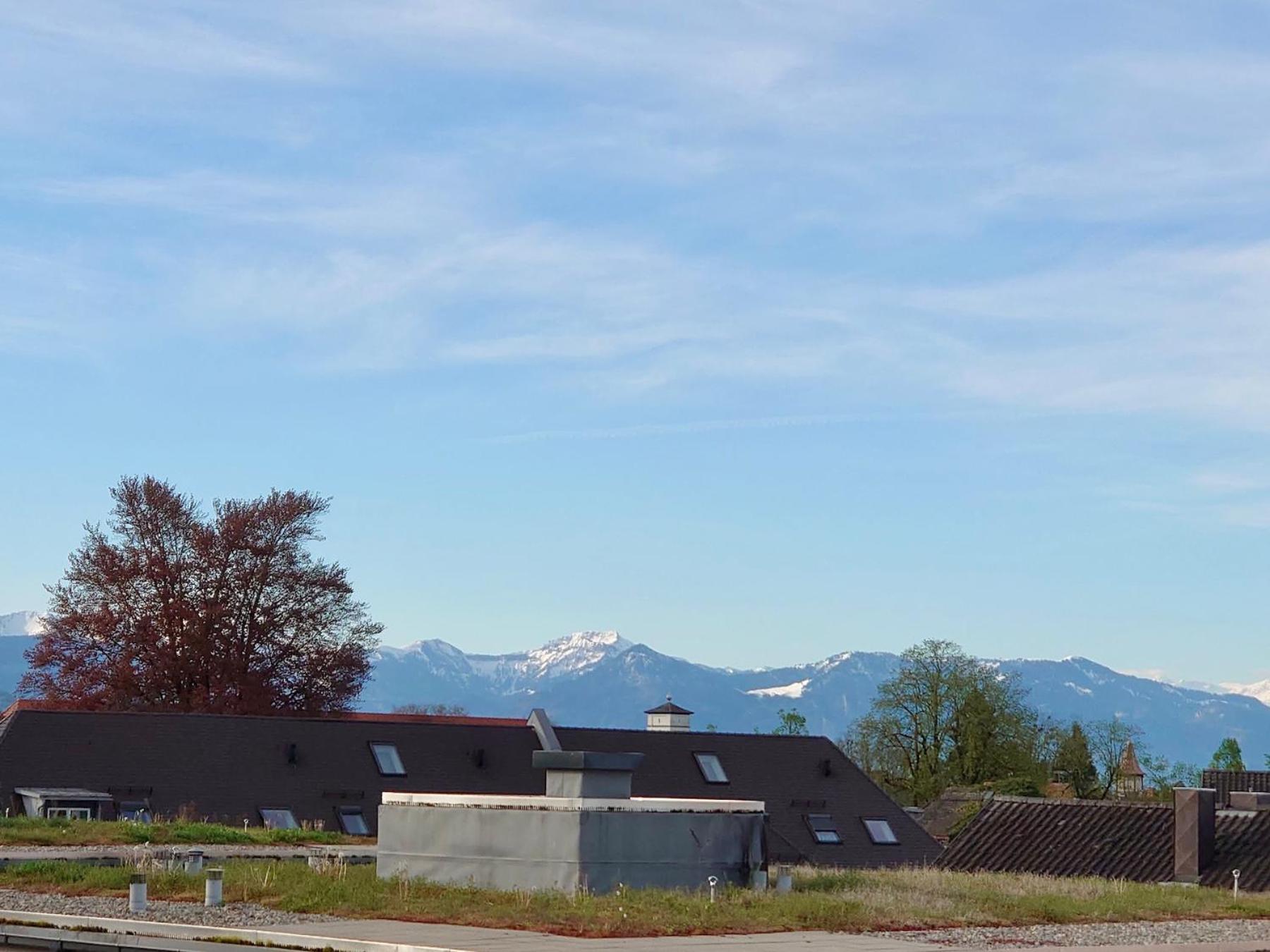 Ferienwohnung Riva - Wohlfuehloase In Ruhiger Lage リンダウ エクステリア 写真